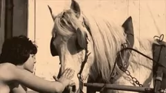Play Hairy Retro Animal Fantasy: Dark Lantern Entertainment's Horse Encounter